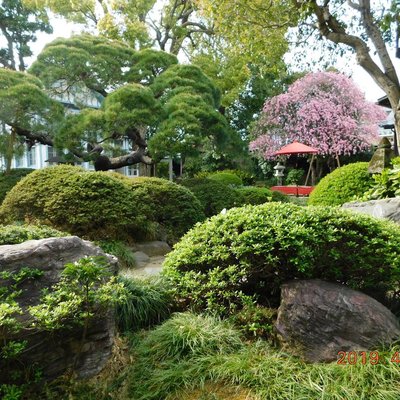 🏛️ 요코야마 향토관(요코야마 쿄도칸) 이미지 2